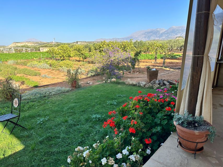 Moires: Cooking Class and Olive Oil Tasting at a Family Farm - Is $100 per person a fair price?