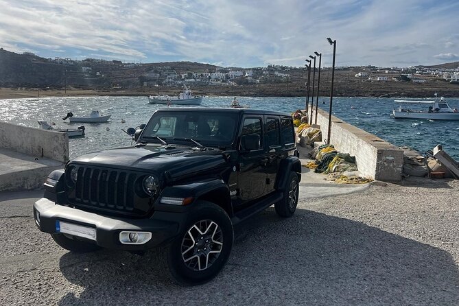Mykonos Discovery : Half or Full Day Private Tour - Faros Armenistis and the northern coast