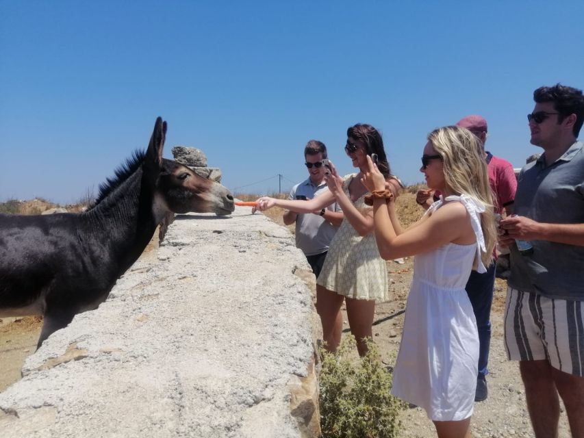 Mykonos: Highlights Tour with Panagia Tourliani Monastery - The best parts of this Mykonos tour