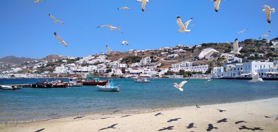 Mykonos: Highlights Tour with Panagia Tourliani Monastery - Pigeon houses and the road to Ano Mera