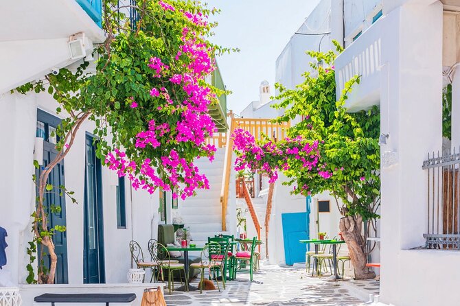 Mykonos Small Group Tour for Cruise Passengers — Port Pickup - Guide quality is the biggest strength