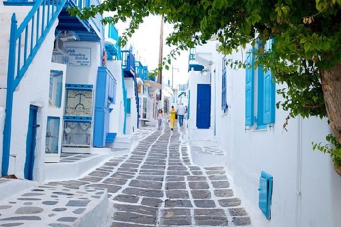 Mykonos Town and Island Half-Day Tour - Starting at Fabrika Square in Mykonos Town