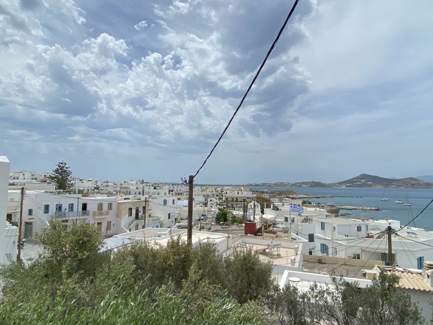Naxos: Food Walking Tour & Cooking Class with Meal & Drinks - Key Details at a Glance