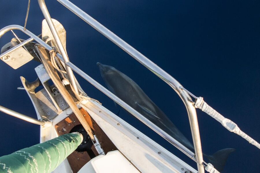 Naxos: Full-Day Small Cyclades Sailing Cruise - Should you book the Xanemo sailing cruise?
