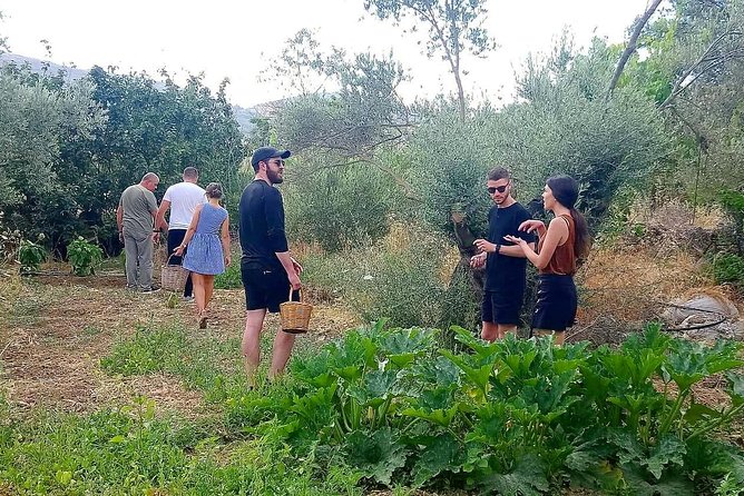 Naxos:Half-day cooking class at Basiliko - Choosing vegetables from the garden