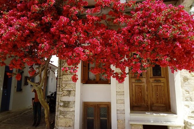 Naxos: Highlights of Naxos Day Tour - Apollon: coffee, swimming, and the northern shore