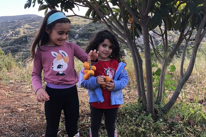 Naxos Perivoli Farm Experience & Wood-fire Cooking Class - Why this farm visit feels different from a standard cooking class