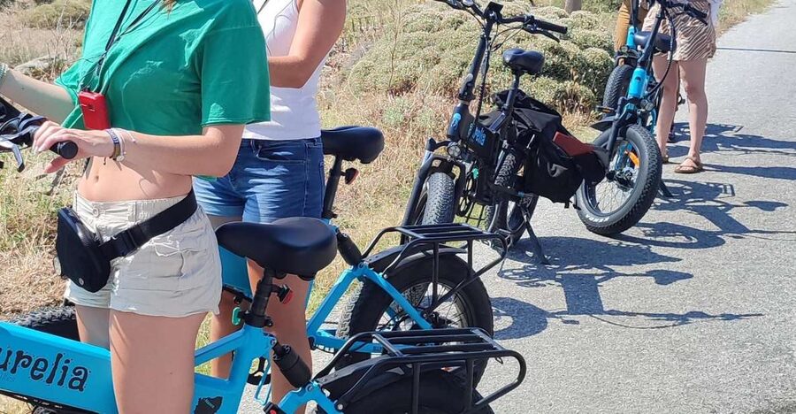 Naxos: Private E-Bike Tour with Farm Lunch - The guides are a large part of the value