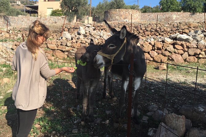 Naxos Villages Food Tour - What You Actually Eat and Drink