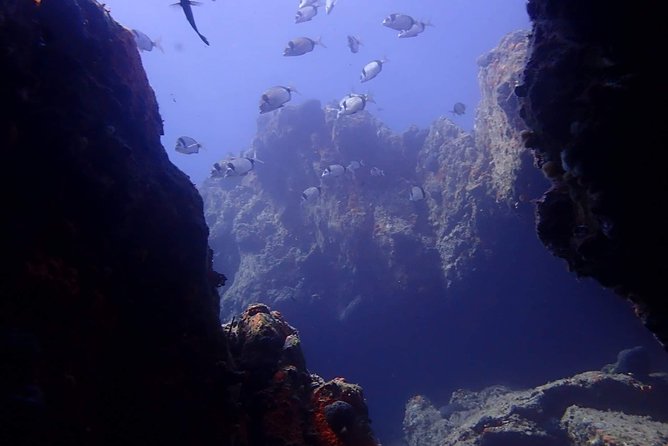 Nima Diving Center, Naxos, Greece - The briefing: safety first, without making it feel like school