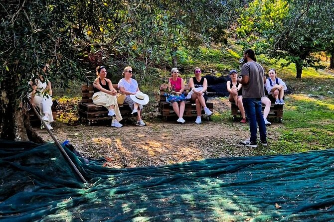 North Corfu Olive Tour With Olive oil Tasting & Meze - Why an olive tour makes sense in Corfu