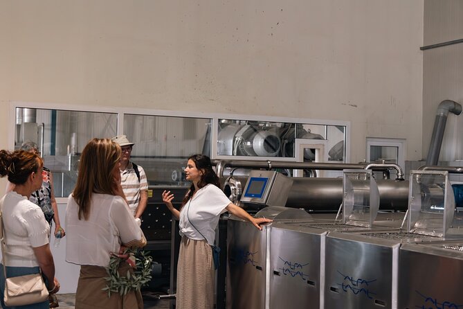 Olive oil Mill Visit & Olive oil tasting Experience - Why Androusa makes a good starting point