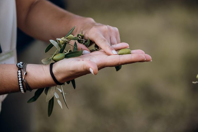Olive oil Mill Visit & Olive oil tasting Experience - What to know before you go