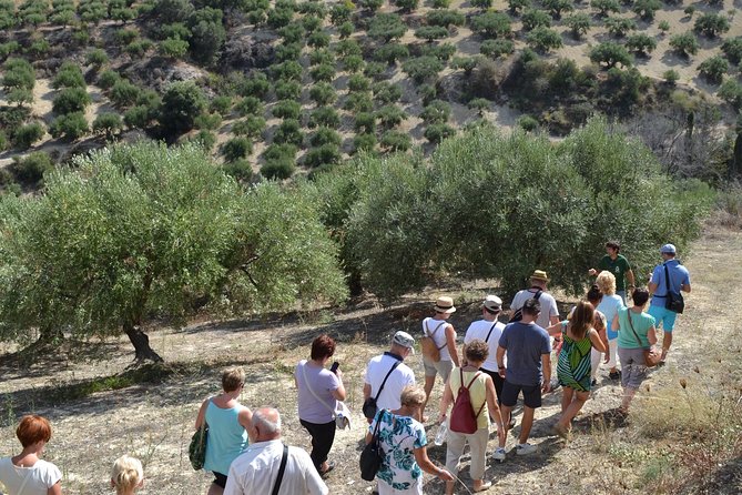 Olive Oil Tasting Tour - Timing it around your Crete plans