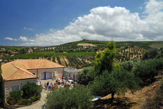Olive Oil Tasting Tour - What I would pay attention to during the visit