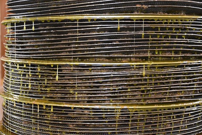 Olive Oil Tasting Tour - The tasting table: three oils and several surprises