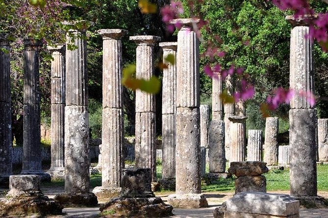 Olympia Shore Ex: Olympic site, Honey Farm & Olive Oil Tasting - Walking through the birthplace of the Olympic Games