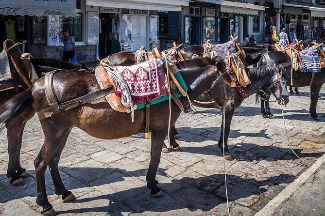 One Day Cruise to Hydra, Poros and Aegina from Athens - Is this the right way to see three Greek islands?