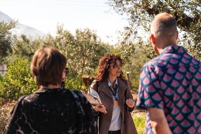 Organic Olive Grove tour & Olive oil tasting & lunch in Kalamata! - Walking Among Kalamata’s Ancient Olive Trees