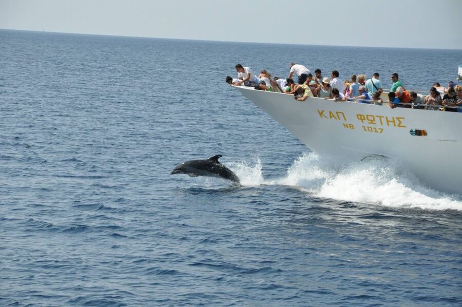 Ouranoupoli: Mount Athos Peninsula Sightseeing Cruise - Aegean scenery and the chance of dolphins