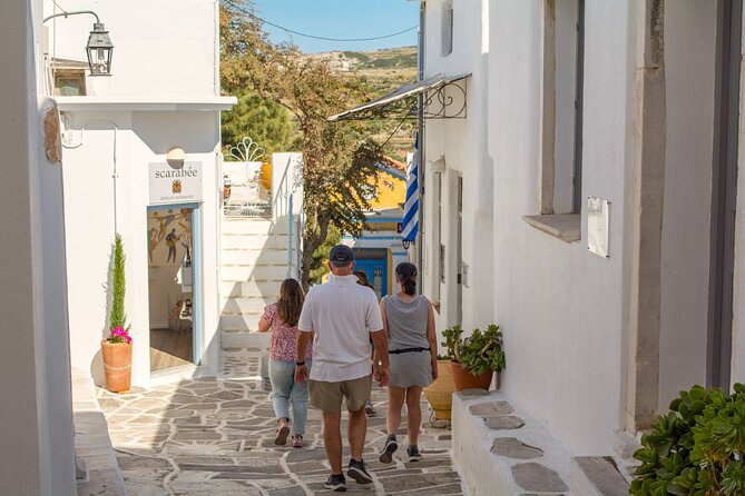 Paros & Antiparos Full-Day Discovery Guided Tour in English - What the Vehicle and Group Size Mean