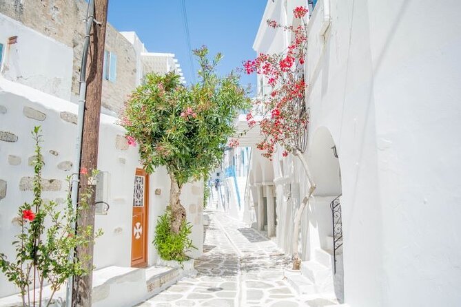 Paros & Antiparos Full-Day Discovery Guided Tour in English - Weather, Timing, and What to Bring