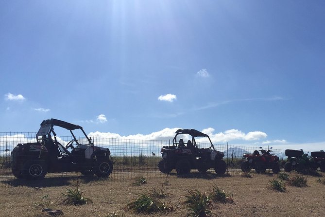 Polaris Buggy 4-Hour Safari from Rethymno Town - Group size, guide, and overall feel