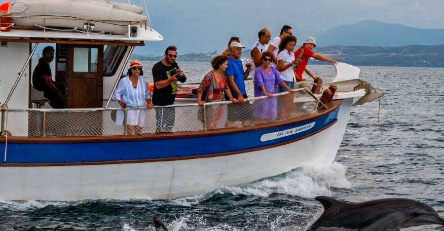 Preveza: Dolphin Watching Cruise with Lunch and Drinks - A fresh Greek lunch with cold drinks