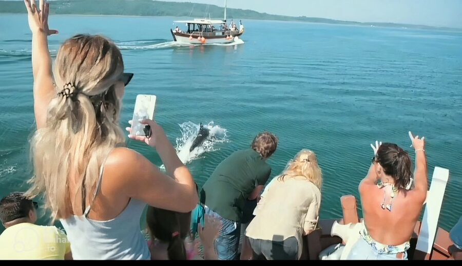 Preveza: Dolphin Watching Cruise with Lunch and Drinks - Is $70 good value for five hours?