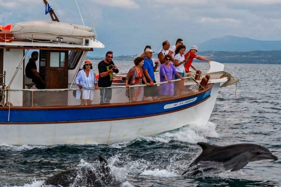 Preveza: Dolphin Watching Cruise with Lunch and Drinks - Who will enjoy this cruise most?