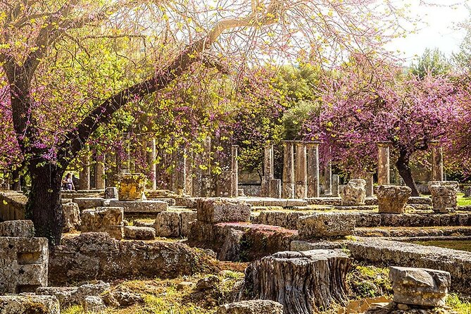 Private Excursion to Ancient Olympia - bee farm & winery - Leaving Katakolo Port in a private car