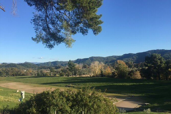 Private Excursion to Ancient Olympia - bee farm & winery - Klio’s Honey Farm and Greek family hospitality