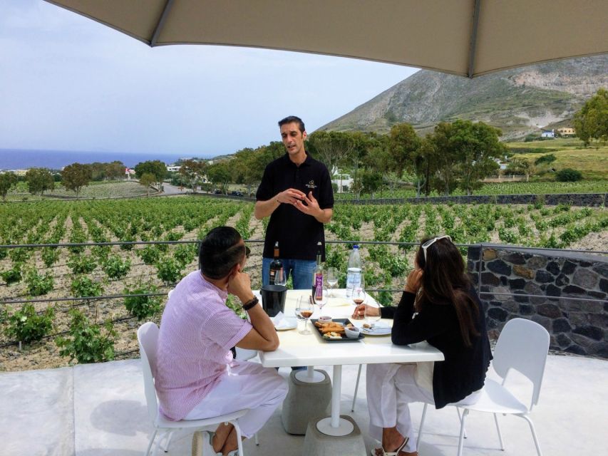 Private Group Visit to Akrotiri & 3 Wineries with Tastings - Should you book this Akrotiri and winery tour?