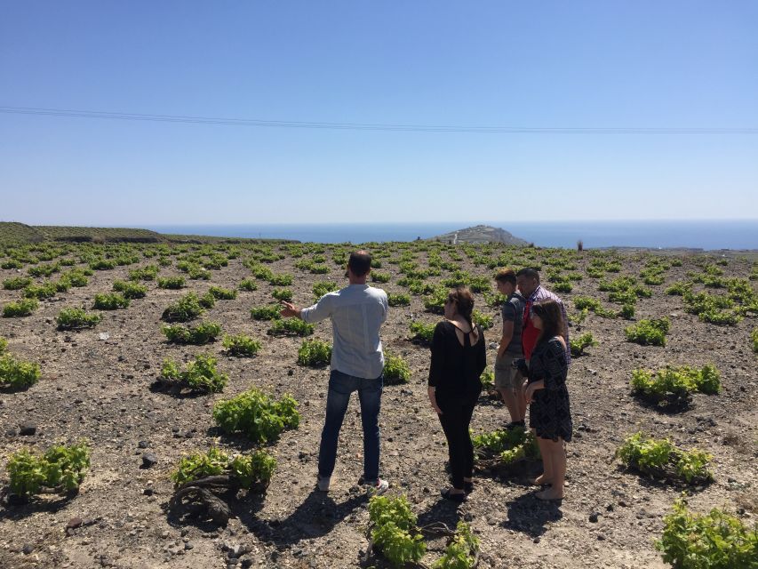 Private Group Visit to Akrotiri & 3 Wineries with Tastings - Who will get the most from this experience