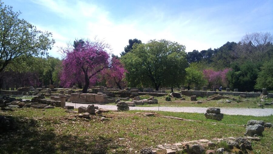 Private Guided Tour of Ancient Olympia - Timing, languages, and access