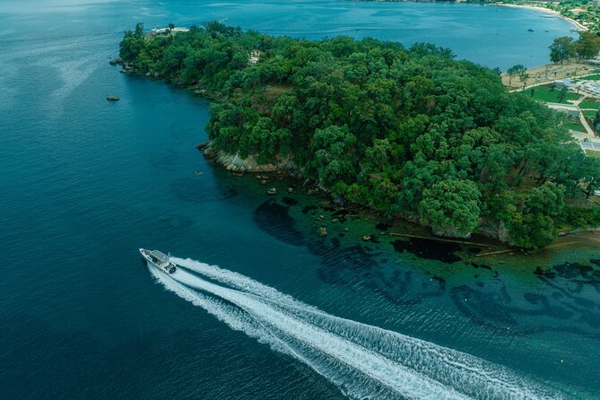 Private Half Day Cruise on a Speed Boat in Corfu island - Is $1,448.19 good value?