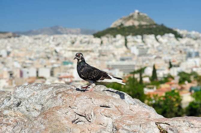Private Luxury Biblical Tour: Apostle Paul in Athens & Corinth - Areopagus Hill and the Unknown God