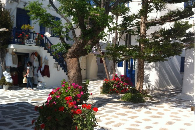 Private Only "The Highlights" Walking tour - Kato Milli windmills: Mykonos in one classic view