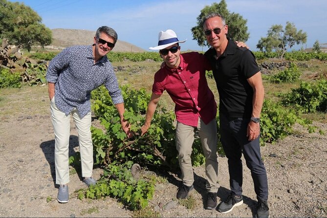 Private Santorini Sunset Wine Tour with Tastings and Tapas - What the private format changes