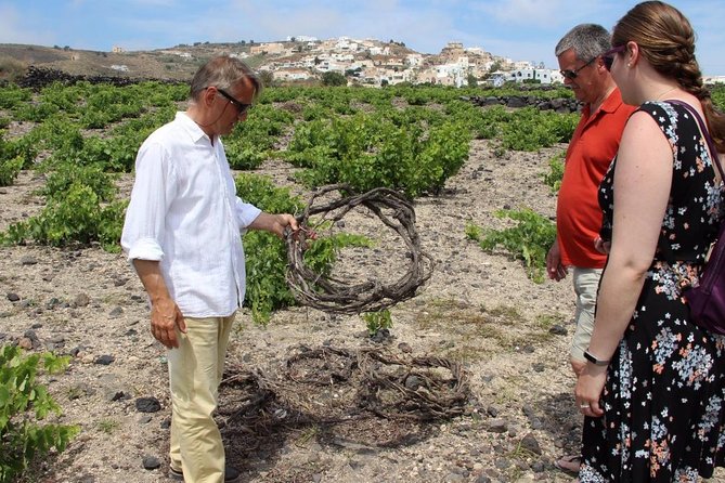Private Santorini Sunset Wine Tour with Tastings and Tapas - Gaia Winery: a change of setting and style