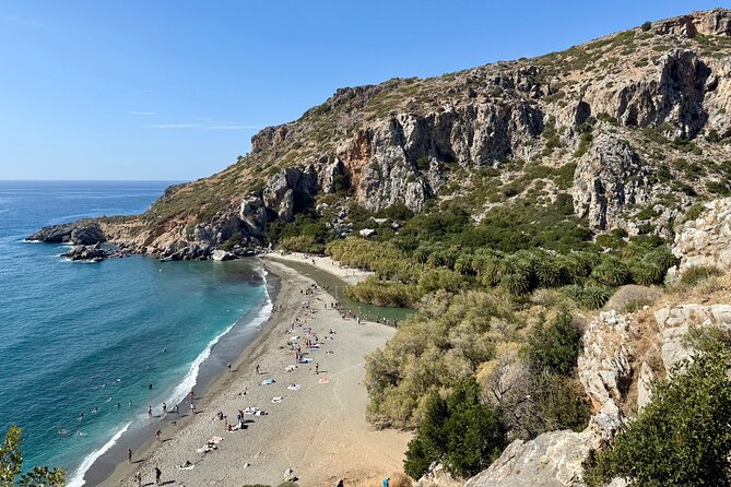 Private South Crete Full-Day Tour-Spili, Kourtaliotiko & Preveli - Preveli Palm Forest: where river and sea meet