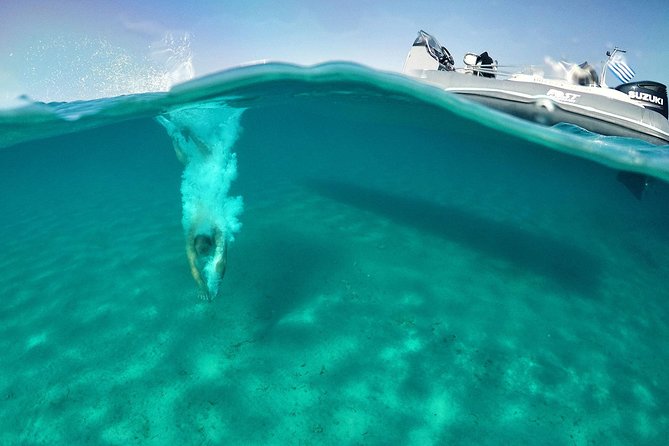 Private Speedboat Cruise from Delos to Rhenia and Mykonos - Delos: Ancient Stones Before the Swimming