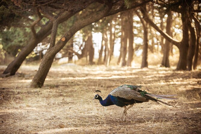 Private Tour: Best of Rhodes in one day (Full Island Tour) - Seven Springs offers shade, water, and a reality check