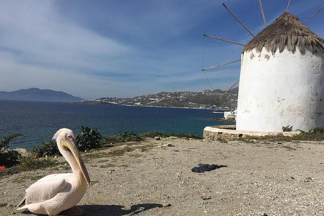 Private Tour: Mykonos Island in Half a Day - Ano Mera and the Panagia Tourliani monastery