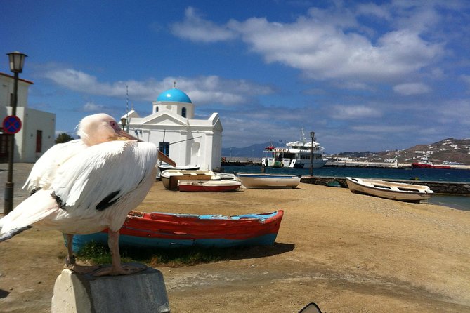 Private Tour: Mykonos Island in Half a Day - The extra archaeological stop and island views