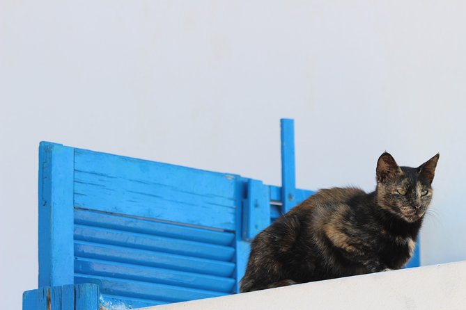 Private Tour: Mykonos Island in Half a Day - What the guides add to the experience