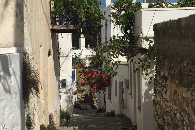Private Tour on Paros Island - Naousa: A Seaside Start Among Fishing Boats