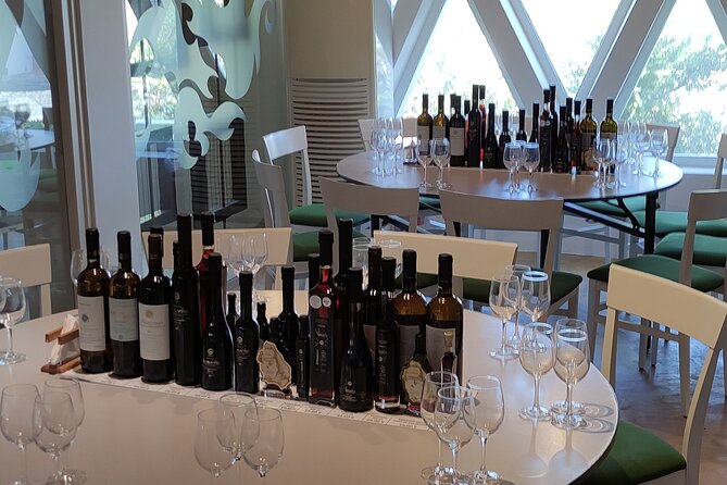 Private Wine Tour in 3 Wineries with 12 Wine Tastings and Tapas - Private transport and pickup details