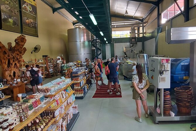 Quad Safari Off-Road Evening Tour - Olive groves, vineyards, and the Lyrakis oil stop