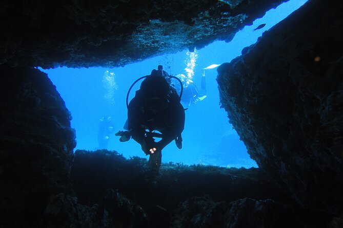 Qualified Diver 1 Tank Dive in Mykonos - Weather changes the plan